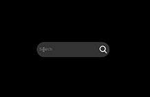 search bar 